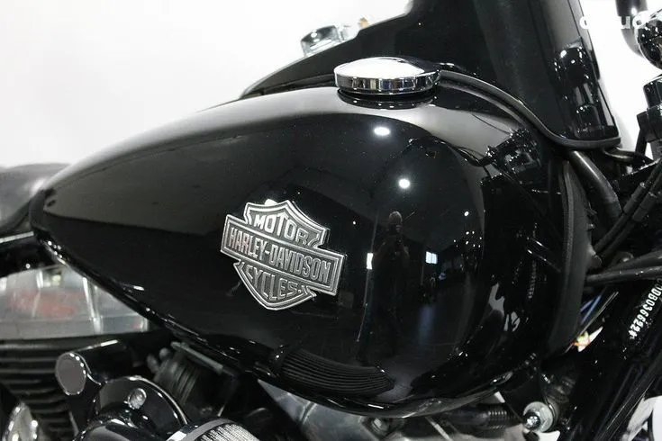Harley-Davidson FLS  Image 3